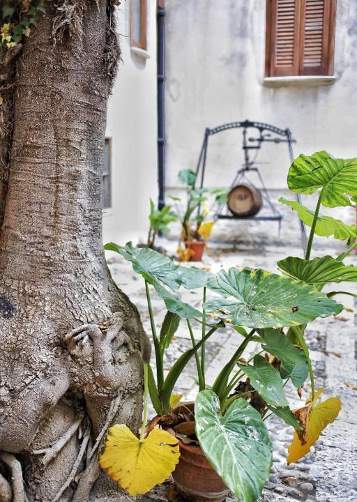 Alcamo Historic Center House | Affittacamere Garibaldi