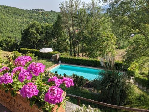 Bibbiena House | Agriturismo Casentino - Fattoria Ventrina
