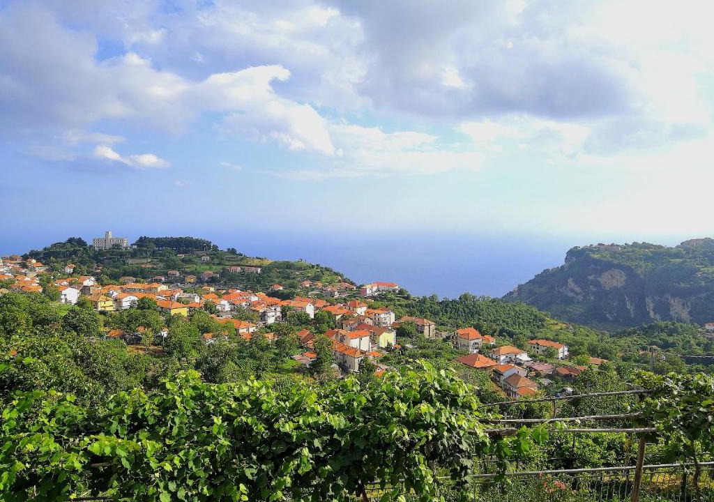 San Lazzaro House | Agriturismo il Castagno