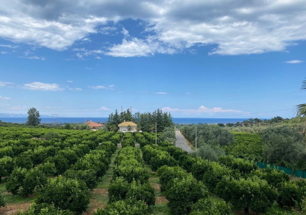 Rossano House | Agriturismo San Francesco