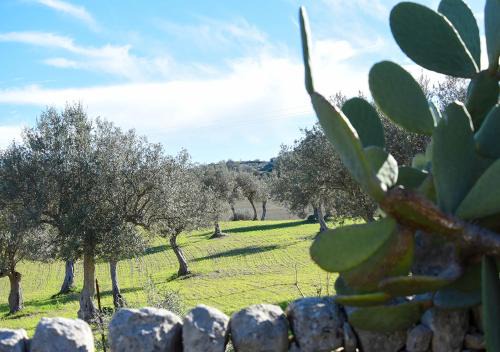 Ragusa House | Agriturismo Tenuta Carbonara