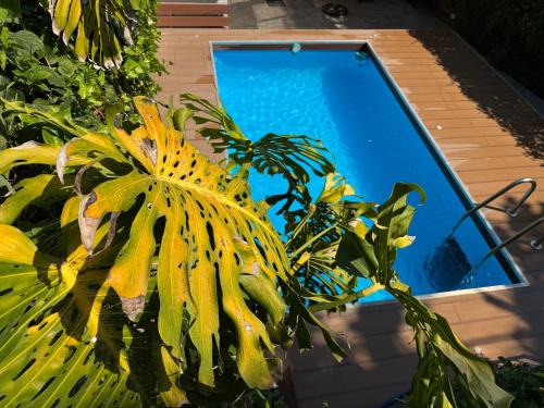 Santa Tecla House | Amazing House by the Sea