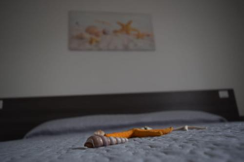 San Vito Lo Capo Apartment | Appartamenti AcquaChiara