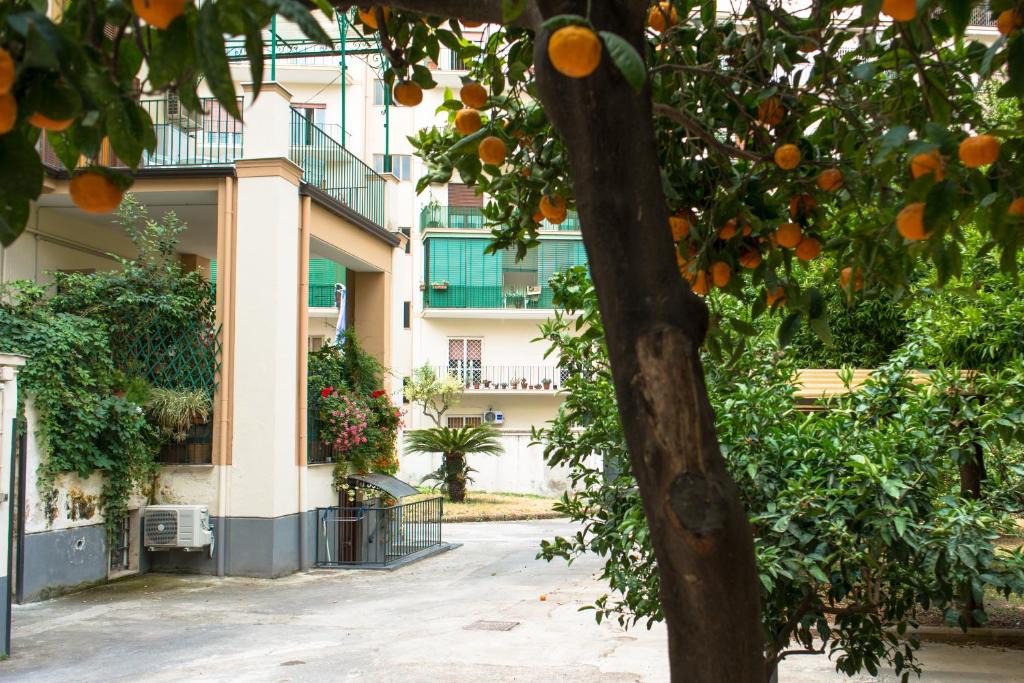 Portici Bed & Breakfast | B&B Il Nido