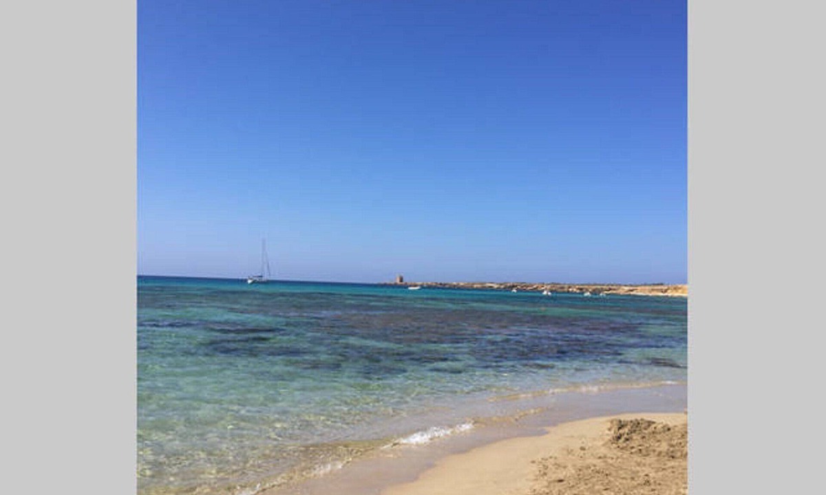 Terrasini Villa | Beautiful property with organic land near the sea