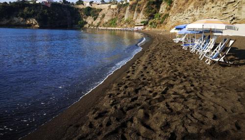 Procida Apartment | Calise guest house B senza balcone