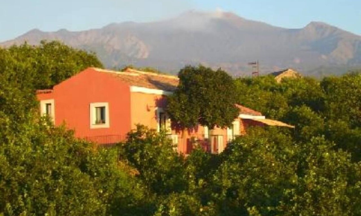 Archi House | Casa della Camelia-the quintessential country getaway close to all attractions