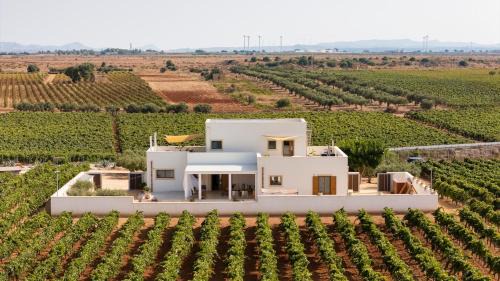 Mazara del Vallo Villa | Casale Gorghi Tondi House & Vineyard with Jacuzzi