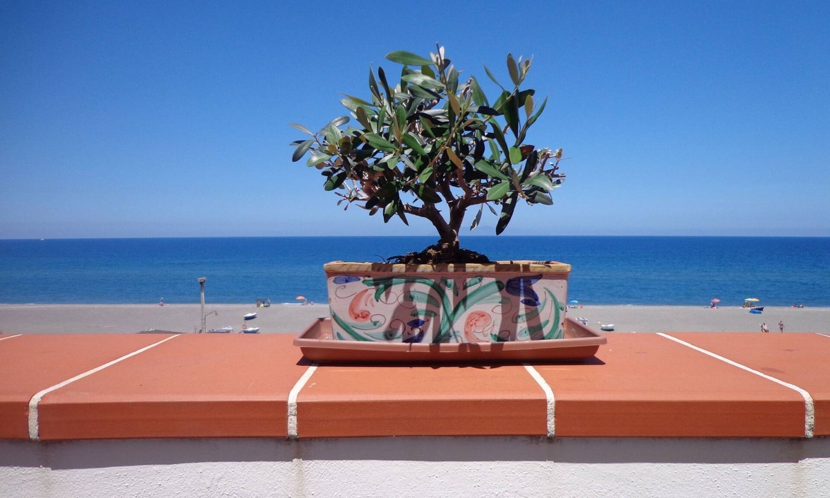 Marchesana Apartment | Charmante Wohnung in Marchesana mit Terrasse by Interhome