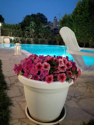 Ragusa Villa | Comfortable Villa in Ragusa with Pool