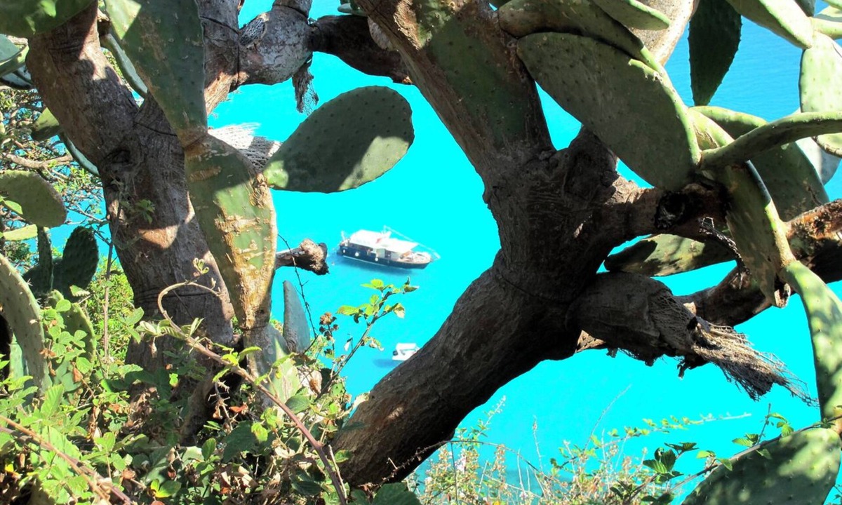 San Nicolo Apartment | Cozy apartment in the center of St. Nicholas