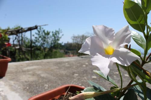San Lazzaro Apartment | Da Licia
