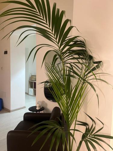 Cibali House | Deodato guesthouse