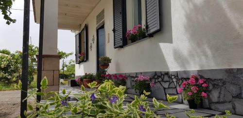 Maletto House | Etna, salvia e rosmarino