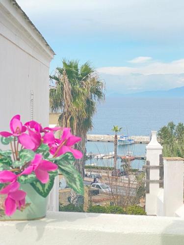 Lacco Ameno House | Euploia Apartment