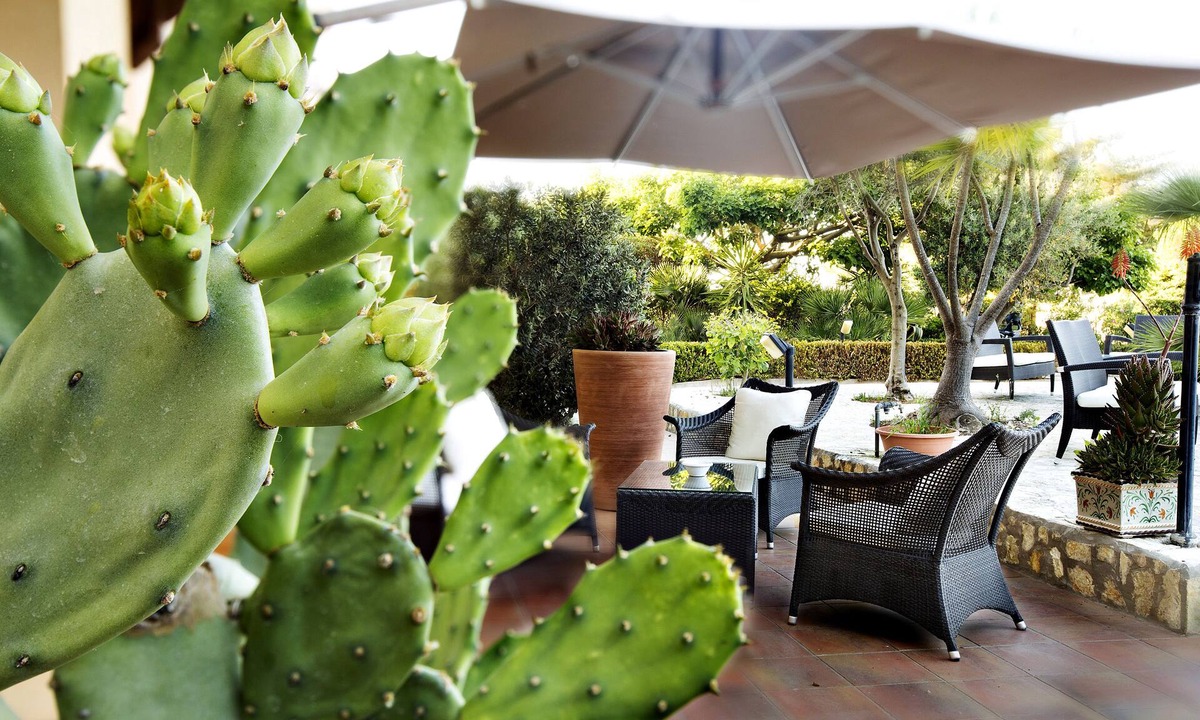 Favignana Hotel | FAVIGNANA HOTEL Concept Holiday