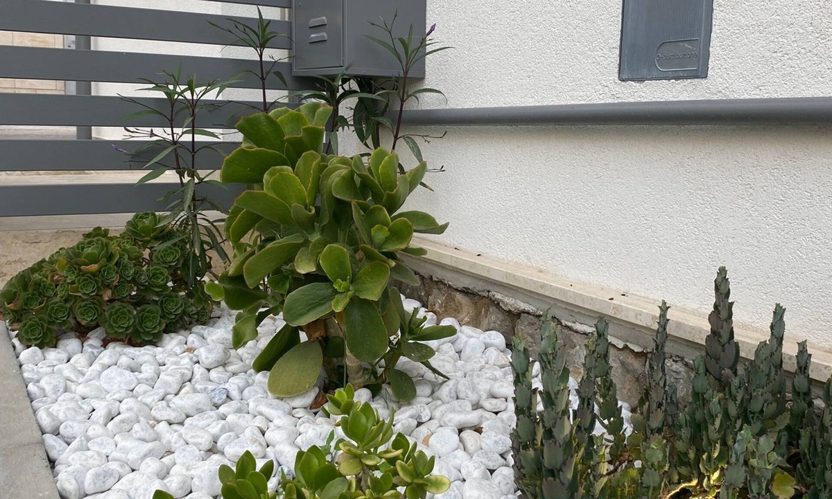 Carini House | fiori di quercia
