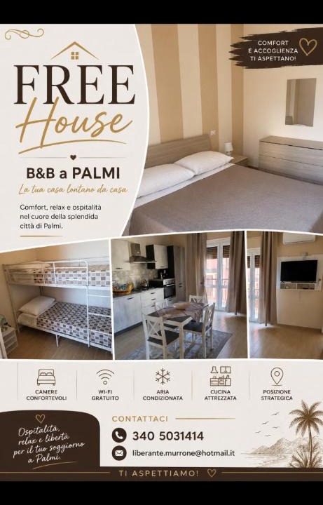 Palmi House | FREE HOUSE