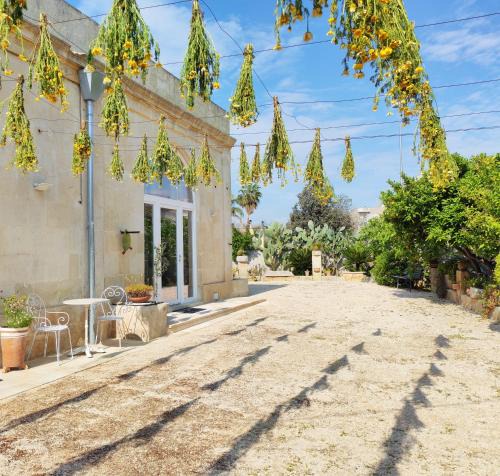 Maglie House | Giardino Frannicola