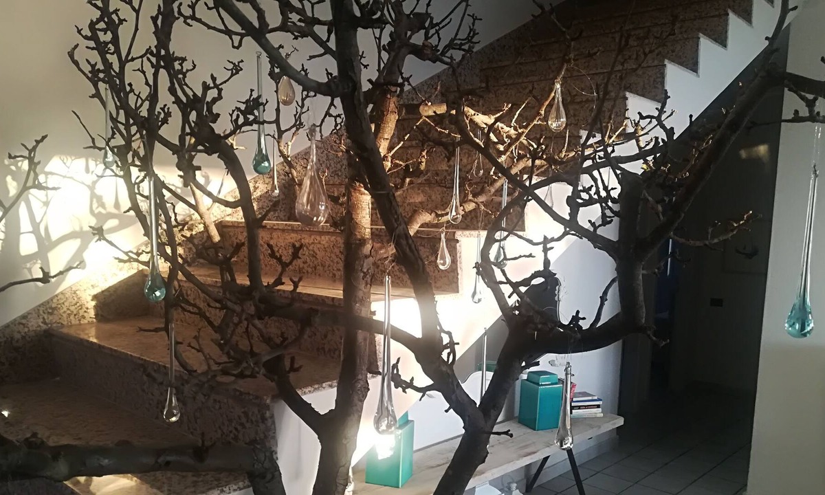 Cetraro Apartment | GIOLU 'seaview home holidays
