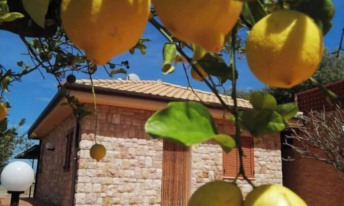 Cefalu Villa | Green villa Cefalù sea view 3