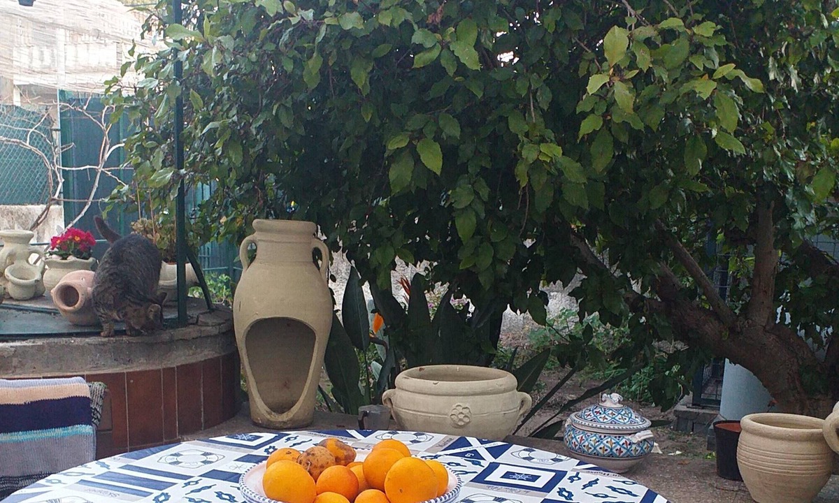 Vaccarizzo Apartment | Homerez - Beautiful apartment With sea view and garden