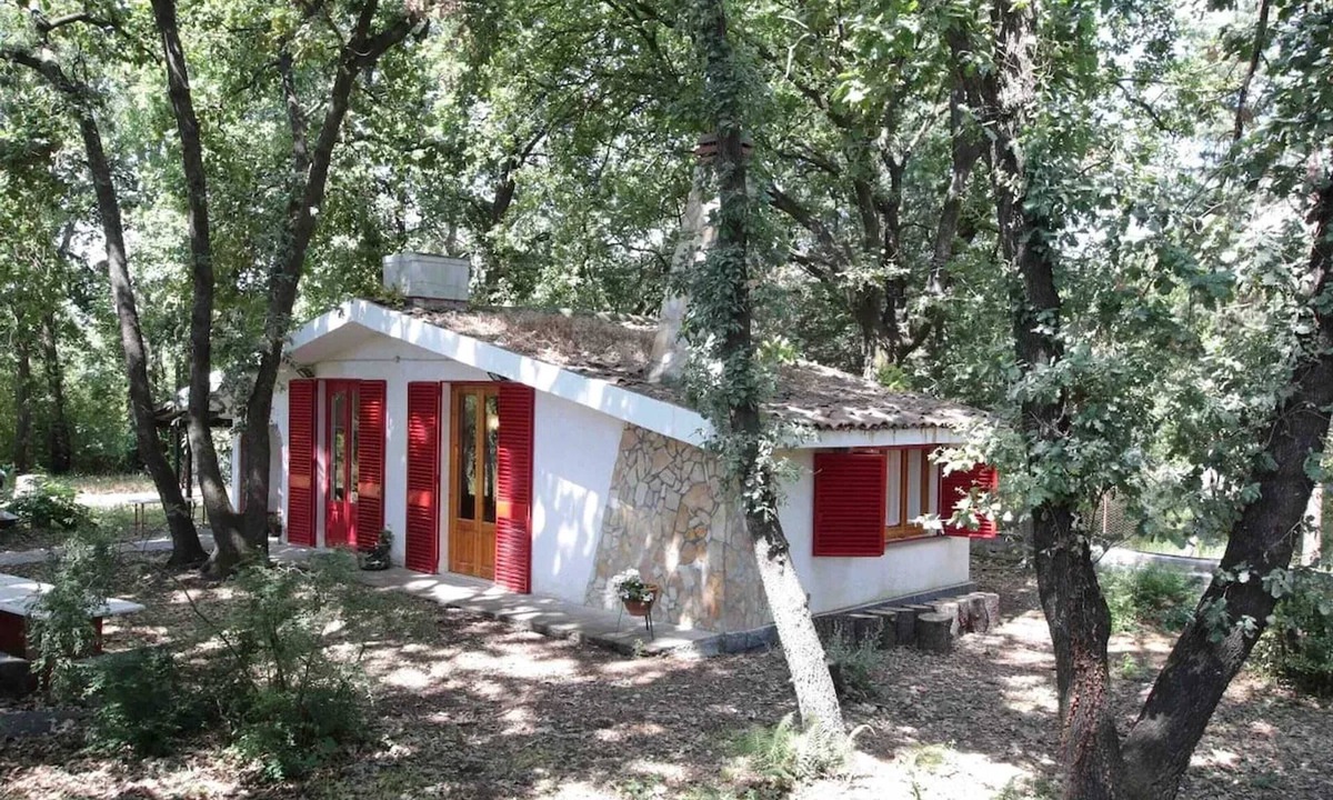 Lavinaio-Monterosso Ski Chalet | Homerez - Charming Chalet in Lavinaio