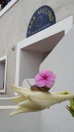 Alicudi Porto House | Hotel Residence Il Mulino