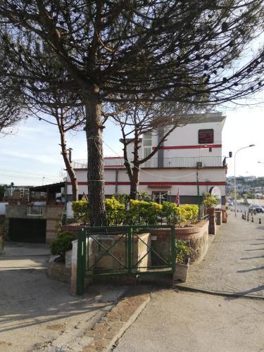 Licola Hotel | Hotel Sibilla Residence
