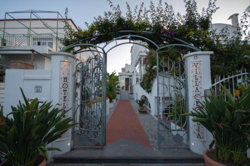 Ischia Porto Hotel | Hotel Villa Cecilia