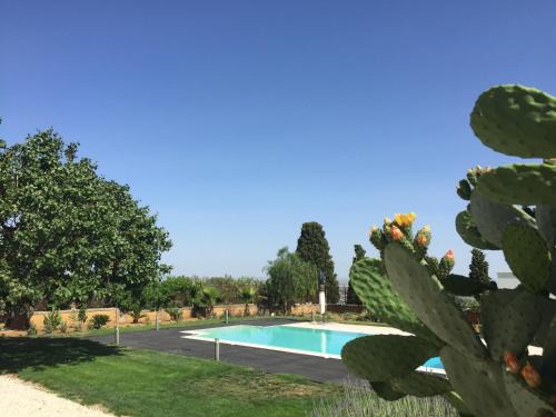 Caltanissetta House | House Calafato e Testasecca