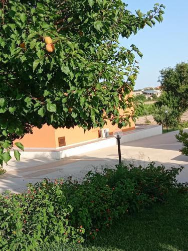 Noto Ski Chalet | Il Poggetto Marzamemi - Le Villette