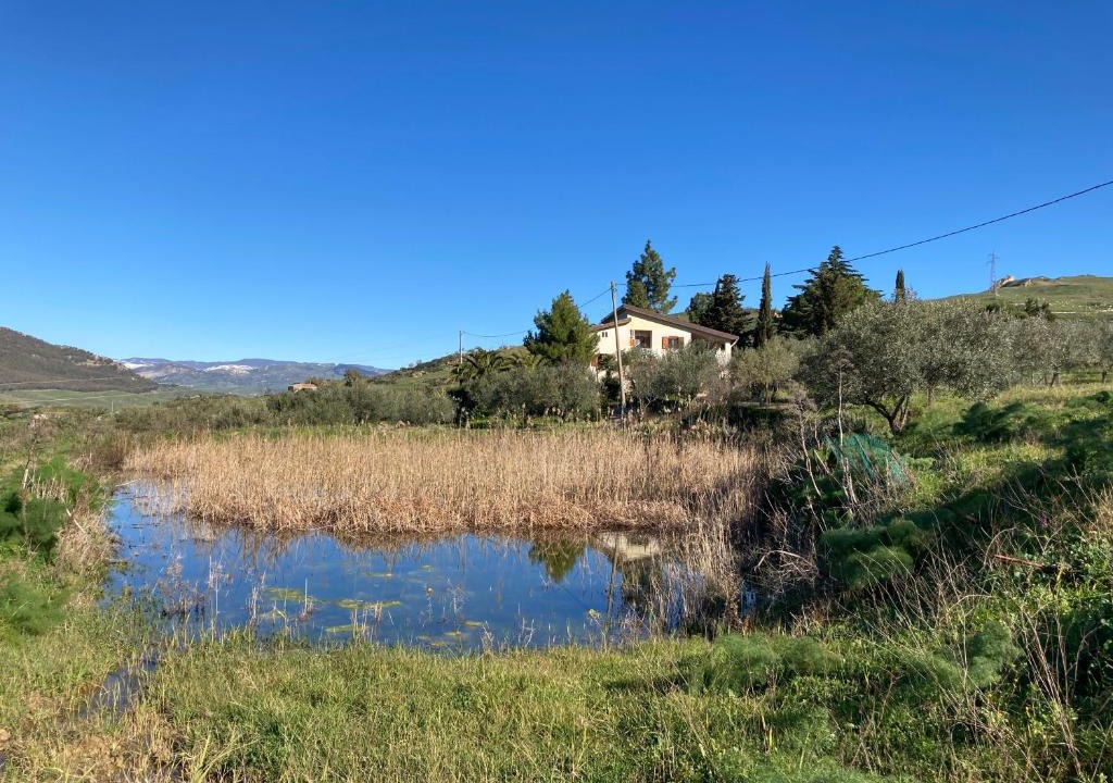 Gagliano Castelferrato House | La Casa Delle Olive