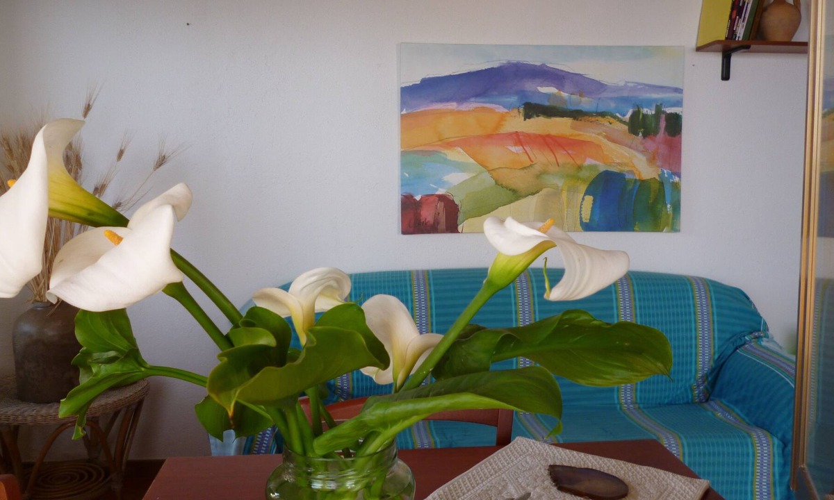 Marina di Zambrone Apartment | LA CASA DELL OLMO apartment overlooking the sea and the Aeolian Islands, Zambrone Marina / Tropea