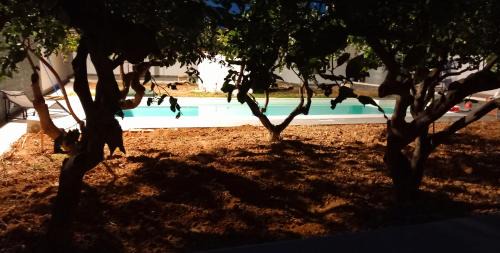 Trapani Villa | Lemon Gold