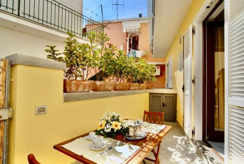 Lacco Ameno Apartment | Maloon apt - 450m from the beach
