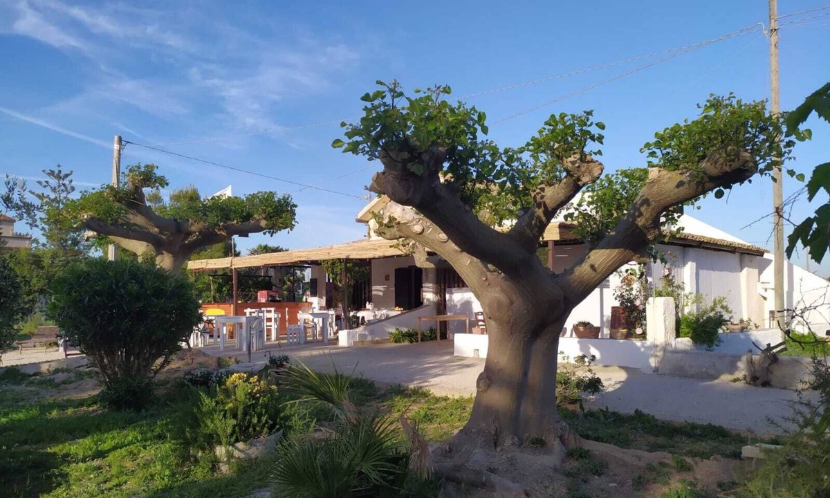 Marsala Villa | MammaCollette Rent Rooms and Home Restaurant, Bar, Kite, Massages,