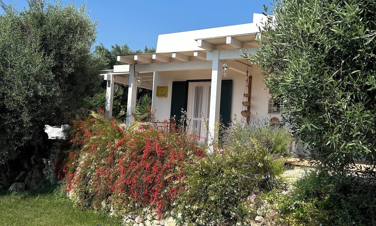 Avola Villa | Mediterranean-style villa surrounded by centuries-old olive and lemon trees