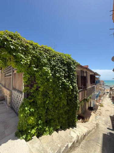 Marina di Palma House | Mirta