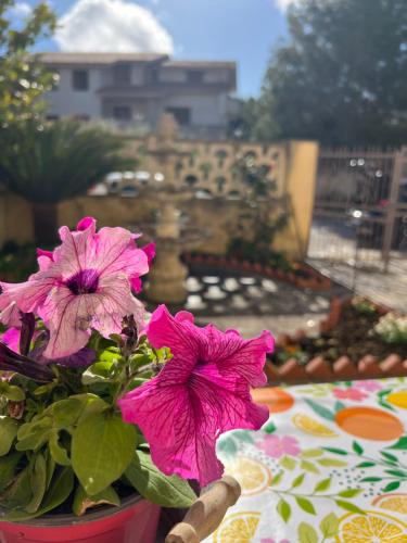 Vita House | Nonna Ciccina’s House