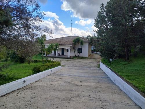 Caltanissetta Villa | Odori di zagara