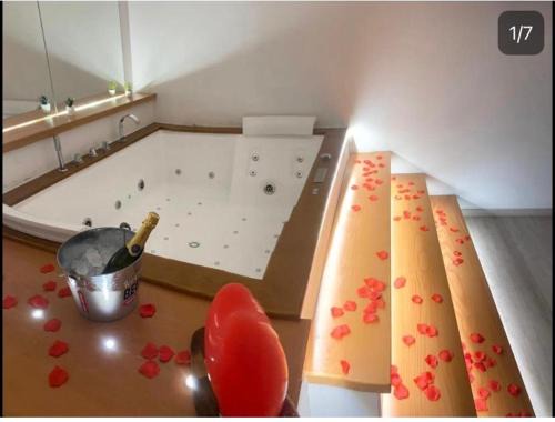 Cibali House | ORCHIDEA HOUSE