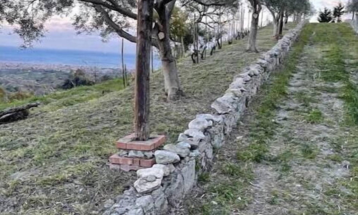 Siderno Marina House | Panoramic Villa Between the Sea and Nature – Relaxation and Privacy in the Hills of Siderno