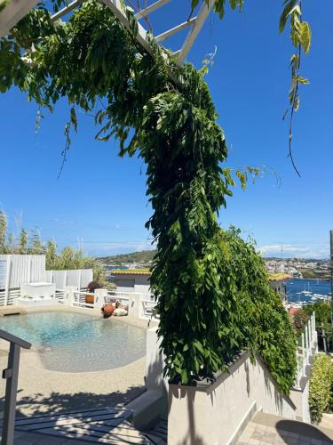 Capo Miseno House | Pharus Miseni Suites and rooms