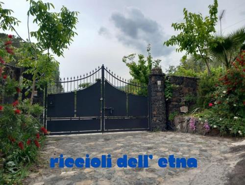 Piedimonte Etneo House | Riccioli dell' Etna
