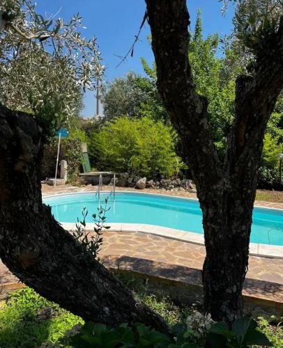 Brattiro Villa | Tenuta Ciaramiti Luxury Garden & Pool
