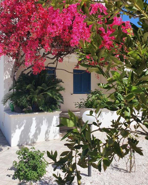 Savelletri House | Villa A'mare