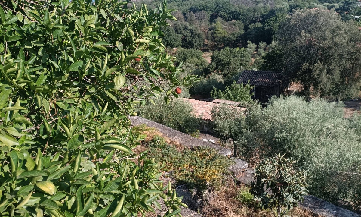 Mascalucia Bed & Breakfast | Villa Aresco