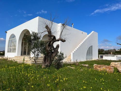 Salve Villa | VILLA CAMILLA by salentoltremare