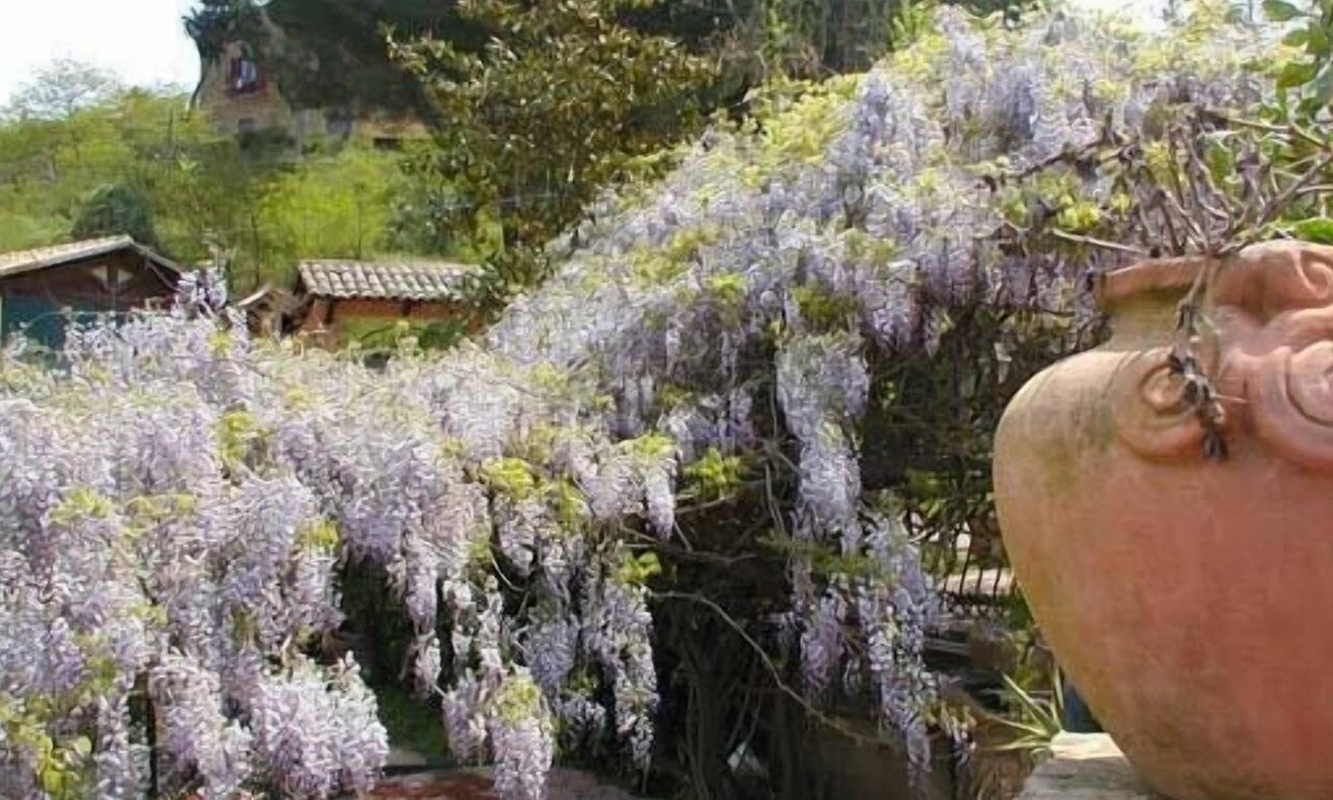 Piazza Armerina Bed & Breakfast | Villa Clementine